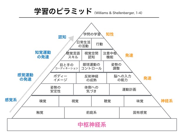 発達には順番がある・GLITTER式マッサージ®【小児障がい児の医療マッサージ】